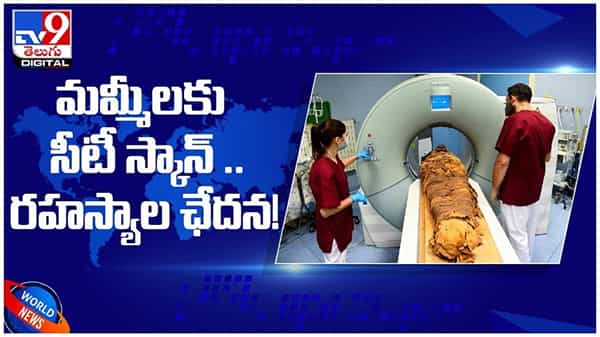 పురాతన ఈజిప్ట్ మమ్మీలపై రహస్యాల ఛేదన... ఆధునిక సిటీ స్కాన్ పరీక్షలు... ( వీడియో )