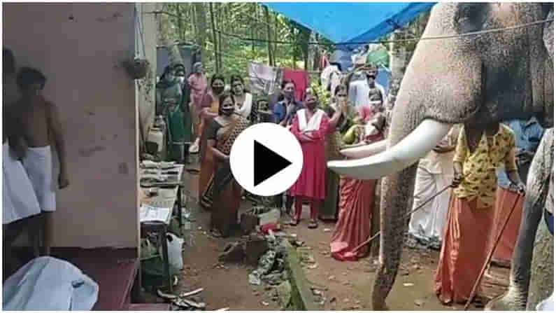 Viral Video: మావటి మృతి.. 20 కి.మీ దూరం నుంచి చివరి చూపుకు వచ్చిన ఏనుగు.. కంటతడి పెట్టిస్తోన్న వైరల్ వీడియో.!