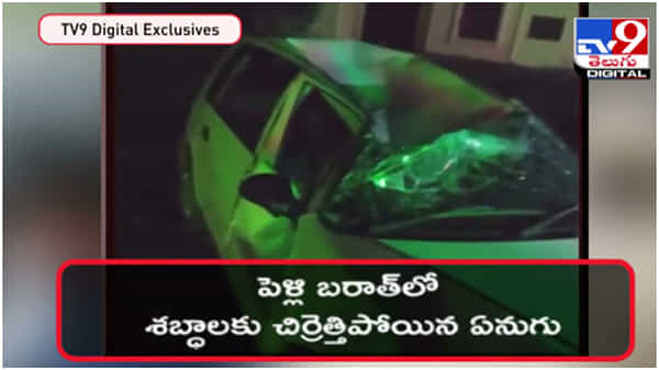 Viral Video: బరాత్ శబ్ధాలకు చిర్రెత్తిపోయిన గజరాజు...పెళ్లిలో విధ్వంసం.. ( వీడియో )