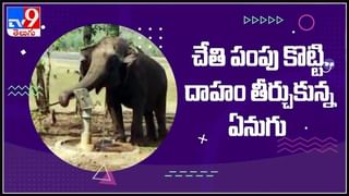 village of ghosts Video: దెయ్యాల గ్రామం.. భయంతో ఊరు మొత్తం ఖాళీ..ఆ గ్రామం పేరే భూత్ విలెజ్.