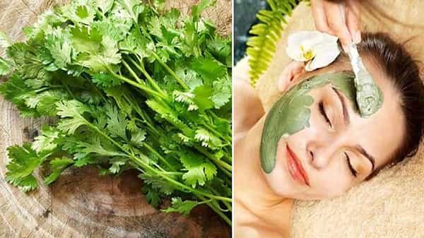 Beauty Secrets: మీ పెదవులు నల్లగా ఉన్నాయా.. చర్మం కాంతివంతం కావాలా ఐతే కొత్తిమీరతో ఇలా చేస్తే సరి