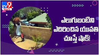 ఇండోనేషియాలోని ఫెర్రీ లో చెలరేగిన మంటలు.. నీళ్లలో దూకిన ప్రయాణికులు… ( వీడియో )