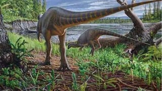 ఇంటర్నేషనల్ స్పేస్ స్టేషన్ లో ఆ ముగ్గురు చైనా వ్యోమగాములకు రోజూ ‘పండగే ‘ ! వారు ఏం తింటారంటే …?