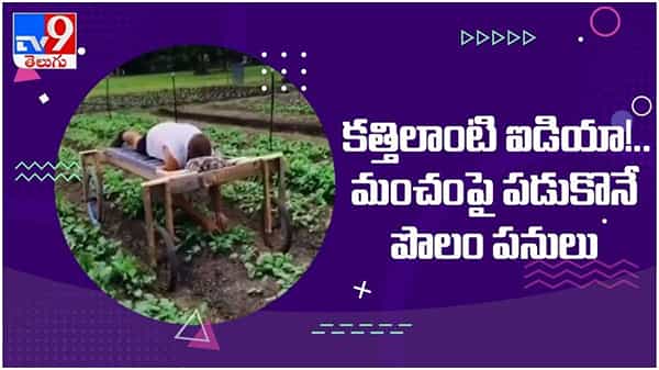 Viral Video: కత్తిలాంటి ఐడియా...!! మంచంపై పడుకొనే పొలం పనులు... ( వీడియో )