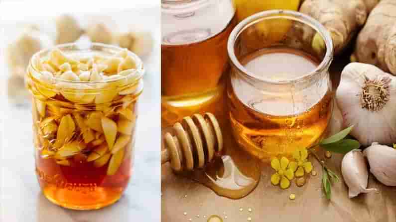 Garlic - Honey: తేనెలో వెల్లుల్లి కలుపుకోని రోజూ ఉదయాన్నే ఖాళీ కడుపుతో తింటే ఎన్నో ప్రయోజనాలు.. ఫంగల్ ఇన్ఫెక్షన్ మాయం..