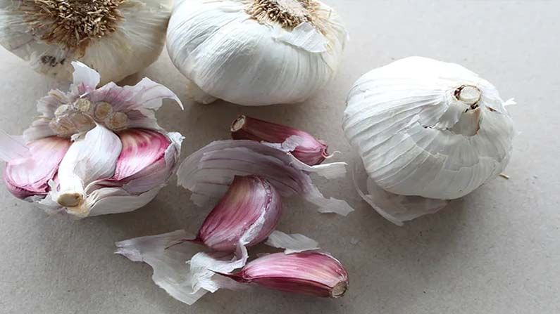 Garlic Peels Benefits: వెల్లుల్లి పొట్టును బయటపడేస్తున్నారా ? వెల్లుల్లి పొట్టుతో ఆరోగ్యానికి ఎన్ని ప్రయోజనాలు ఉన్నాయో తెలుసా..