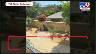 ఆకాశంలో మరో అద్భుతం ..ఈ సారి గంటకు పైగా వీక్షించే అవకాశం..: solar eclipse Viral Video