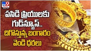 Gold And Silver Price: పతనమవుతున్న పసిడి మరియు వెండి ధరలు… ప్రధాన నగరాలలో ధరలు ఇలా ఉన్నాయి.. ( వీడియో )