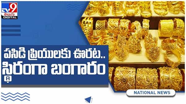 Gold And Silver Price: పసిడి ప్రియులకు ఊరట... స్థిరంగా బంగారం... ఈ రోజు ప్రధాన నగరాలలోని ధరలు... ( వీడియో )