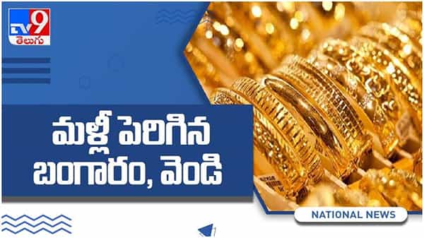 Gold And Silver Price: పెరిగిన బంగారం ధరలు... దేశంలోని ప్రధాన నగరాల్లో తులం గోల్డ్ రేట్ ఎంతంటే..? ( వీడియో)
