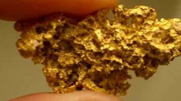 Gold Mines In AP: ఆంధ్రప్రదేశ్ లోని ఆ జిల్లాలో బంగారు నిక్షేపాలు.. తవ్వకాలకు రెడీ అవుతున్న ఓ ప్రైవేట్ సంస్థ