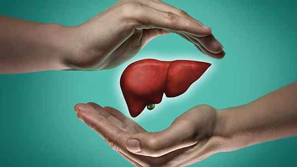 Healthy Liver : లివర్ ఆరోగ్యంగా ఉండాలంటే ఈ ఐదు ఆహారాలు తప్పనిసరి..! ఏంటో తెలుసుకోండి..