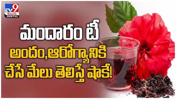 Hibiscus Herbal Tea: మందారం టీ రోజు తాగితే కలిగే ప్రయోజనాలు ఎన్నో... ( వీడియో )
