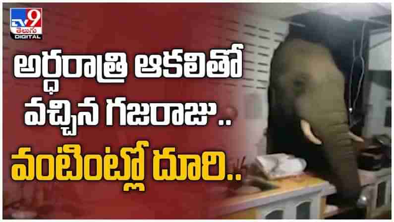 Viral Video: ఆకలితో దొంగలా కిచెన్ లో దూరిన ఏనుగు...!! చివరికి ఏమైందంటే...?? ( వీడియో )