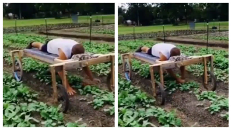 Viral News: కత్తిలాంటి ఐడియా.. మంచంపై పడుకొనే పొలం పనులు చేస్తోన్న రైతు.. నెటిజన్లు ఫిదా.!