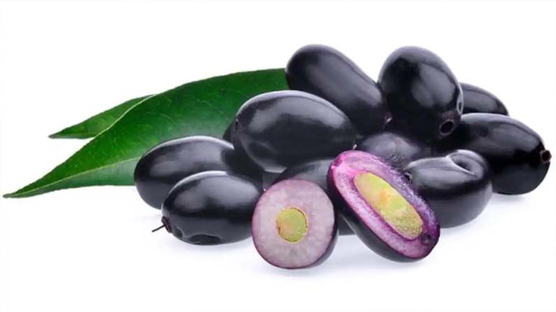 Jamun Seeds: నేరేడు పండును తిని గింజ‌ను పాడేస్తున్నారా.? ఈ లాభాలు తెలిస్తే ఇక‌పై ఆ ప‌ని అస్స‌లు చేయ‌రు..