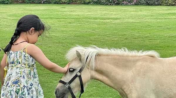 Viral Video: కూతురికి అద్భుతమైన గిఫ్ట్ ఇచ్చిన మహేంద్ర సింగ్ ధోనీ.. సోషల్ మీడియాలో వైరల్ అవుతున్న వీడియో..