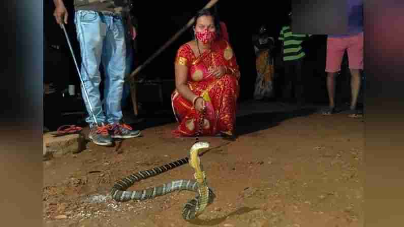 King Cobra: ఇంట్లోకి వచ్చిన కింగ్ కోబ్రా.. కిటికీలోంచి దూకిన భర్త.. మరి భార్య ఏం చేసిందంటే..