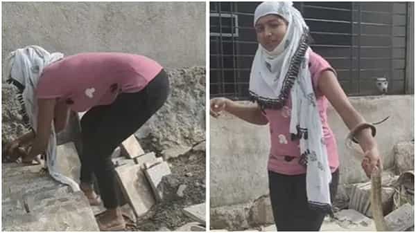 Viral Video: ఇంటి నిర్మాణ పనులు చేస్తుండగా వచ్చిన భారీ పాము.. ఆ యువతి ఏం చేసిందో చూస్తే షాక్ అవుతారు.. వీడియో వైరల్..