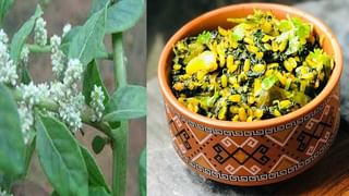 Health Tips: వర్షాకాలంలో ఇన్ఫెక్షన్లకు గురవుతున్నారా ? అయితే ఇంట్లోనే రెడీ చేసే ఈ డ్రింక్స్‏తో ఇన్ఫెక్షన్లకు చెక్ పెట్టోచ్చు…