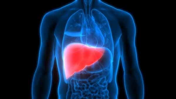Liver Disease : చర్మంపై ఈ 7 మార్పులు కనిపిస్తే లివర్ వ్యాధికి సంకేతం..! అప్రమత్తంగా లేకపోతే అనర్థాలు జరిగిపోతాయ్..