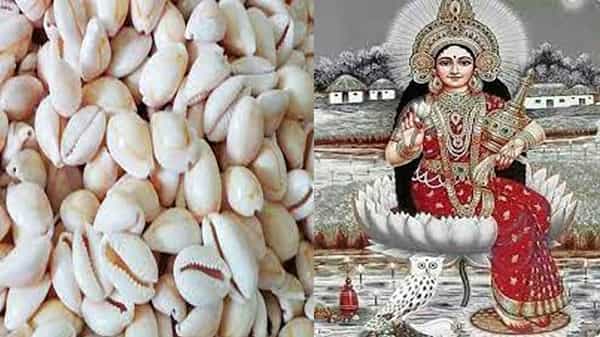 Importance Of Shells: గవ్వలు లక్ష్మీదేవి స్వరూపం .. ఈ గవ్వల ఏ స్థానంలో ఉంటే ధనానికి లోటు ఉండదో తెలుసా..!