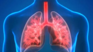 Drumstick Benfits : శాకాహారుల మాంసాహారి మునక్కాయ..! గర్భిణీలకు ఒక వరంలాంటిది.. ఎందుకో తెలుసా..?