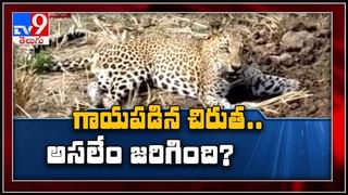 28 భార్యల సమక్షంలో ముచ్చటగా 37వ పెళ్లి..వైరల్ గా మారిన ఐపీఎస్ అధికారి పోస్ట్ చేసిన వీడియో :Viral Video.