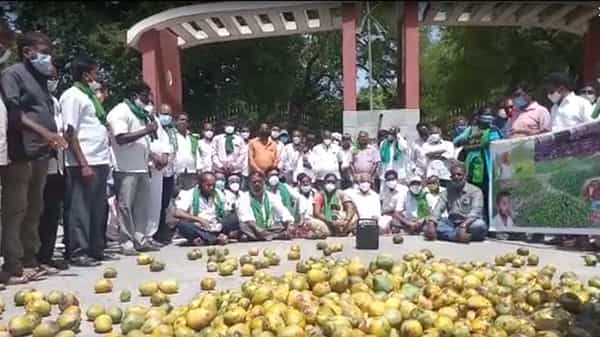 Mango Farmers: ఆందోళన బాట పట్టిన మామిడి రైతులు.. గిట్టుబాటు ధర కల్పించాలంటూ డిమాండ్