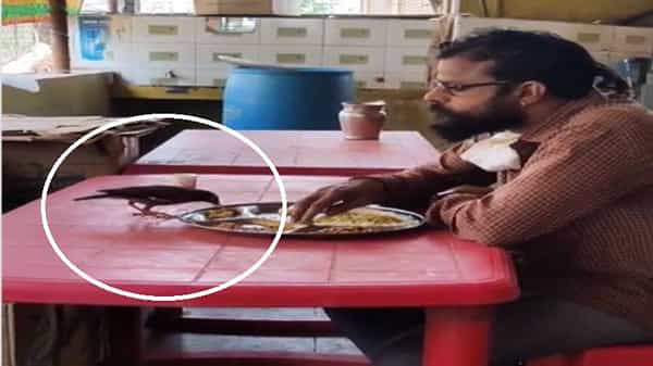 Heart Touching Video: బాగా ఆకలేసినట్లుంది.. నేను తింటున్న ప్లేట్లో నాతో కలిసి భోజనం చేసింది..