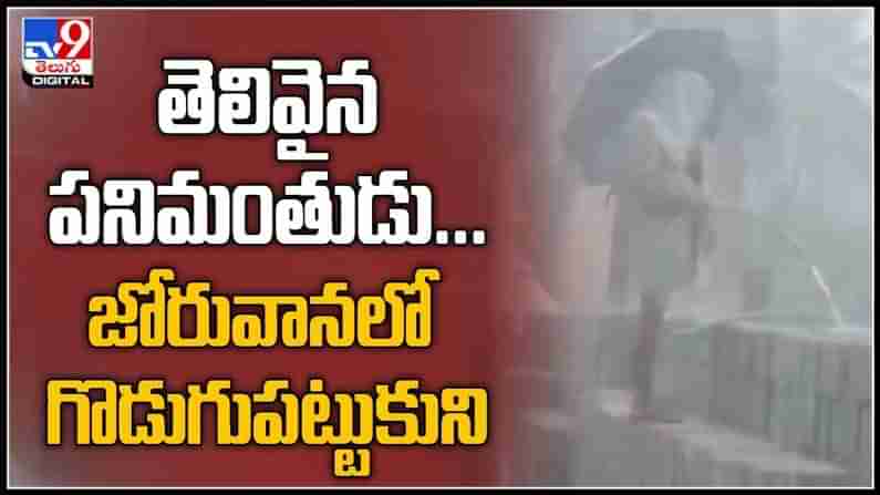 Viral Video : తెలివైన పనిమంతుడు...జోరువానలో గొడుగుపట్టుకుని హార్డ్ వర్క్ చేస్తున్న ఇంటిలిజెంట్ (వీడియో).