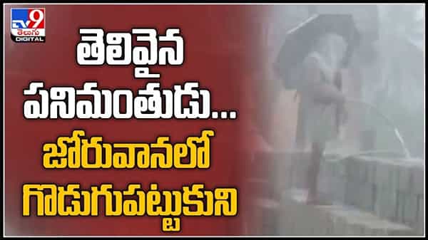 Viral Video : తెలివైన పనిమంతుడు...జోరువానలో గొడుగుపట్టుకుని హార్డ్ వర్క్ చేస్తున్న ఇంటిలిజెంట్ (వీడియో).