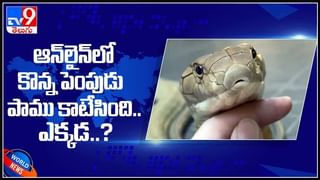 కరోనా వచ్చిన భార్యను బాత్రూంలో ఉంచిన భర్త..నమ్మి వచ్చిన భార్యను ఇలా చేస్తారా..?అంటూ తిట్టిపోస్తున్న నెటిజన్లు :Viral Video.