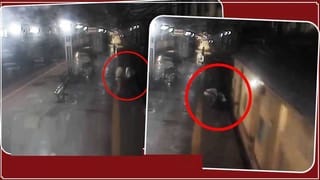 Video Goes to Viral: ఈ లిటిల్ ‘గజరాజ్’ సోషల్ మీడియాలో హల్‌చల్ చేస్తోంది.. అది చేసే పని చూసి నెటిజన్లు మురిసిపోతున్నారు…