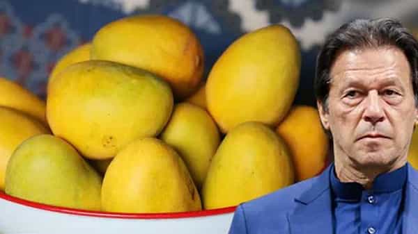 Mango Diplomacy : పాకిస్తాన్ మామిడి దౌత్యం తిరస్కరించబడింది..! యూఎస్, చైనాతో పాటు 32 దేశాలు రిజెక్ట్..