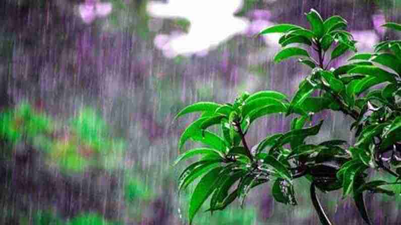 Monsoons: రుతుపవనాలెక్కడ? స్కైమేట్..వాతావరణ శాఖ రెండిటి లెక్కల్లో తేడాలెందుకు.. ఎవరి లెక్కలు కరెక్ట్?