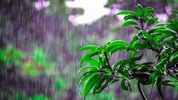 Monsoons: రుతుపవనాలెక్కడ? స్కైమేట్..వాతావరణ శాఖ రెండిటి లెక్కల్లో తేడాలెందుకు.. ఎవరి లెక్కలు కరెక్ట్?