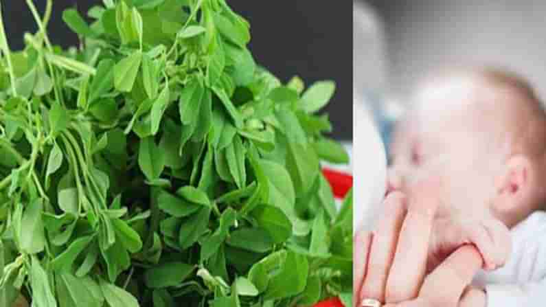 Fenugreek: మెంతి ఆకులను తింటే ఆరోగ్యప్రయోజనాలు అనేకం.. ముఖ్యంగా మహిళలకు