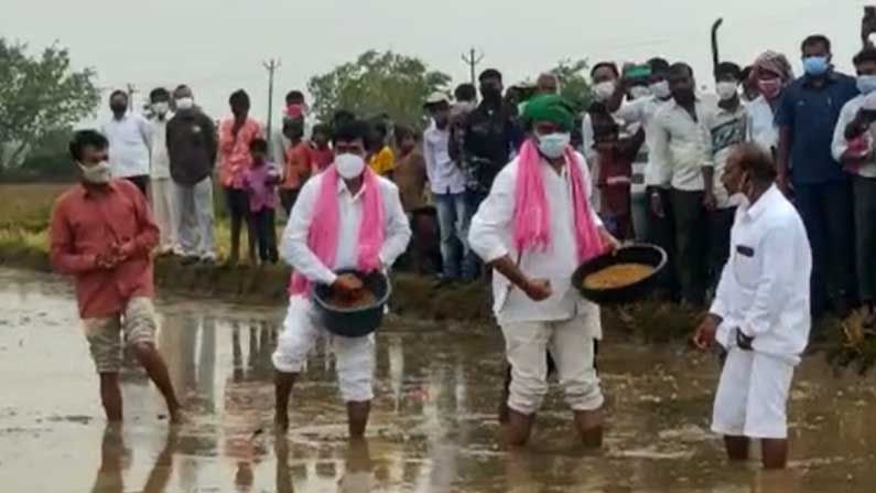 Minister Harish Rao: రైతు అవతారం ఎత్తిన మంత్రి హరీష్ రావు.. స్వయంగా పొలంలో దిగి..