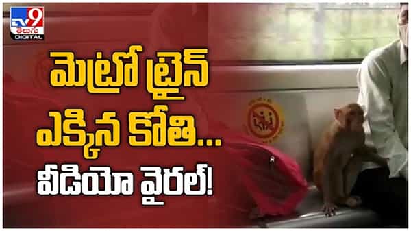 Viral Video: మెట్రో ట్రైన్లో బుద్దిగా ప్రయాణం చేసిన కోతి.. నెట్టింట వైరల్ వీడియో...