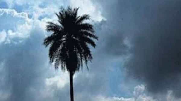 Monsoons Dairy: చురుకుగా నైరుతి రుతుపవనాలు..దేశవ్యాప్తంగా రుతుపవనాల కదలిక ఏ రకంగా ఉండబోతోంది?