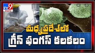 Viral Video: సింహాల గుంపుతో గేదె పోరాటం.. అంతలోనే ఊహించని ట్విస్ట్.. కట్ చేస్తే.! వైరల్ వీడియో