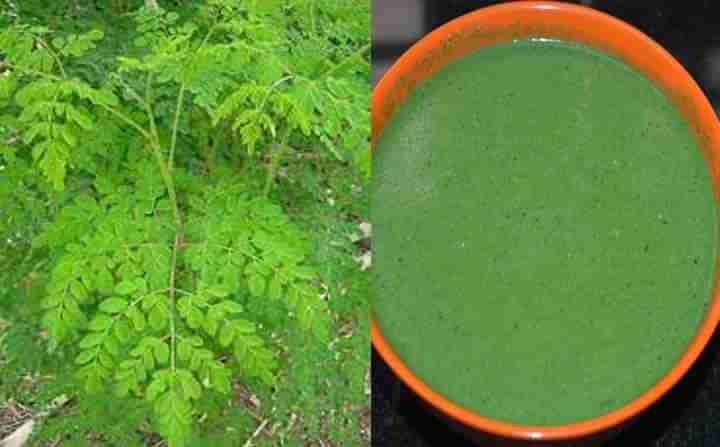 Moringa Leaves Juice: రోజూ మునగాకు రసం తీసుకోండి.. షుగ‌ర్, క్యాన్స‌ర్‌ల‌కు చెక్‌ పెట్టండి