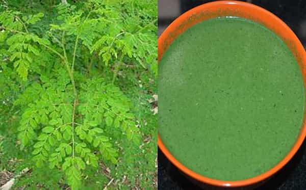 Moringa Leaves Juice: రోజూ మునగాకు రసం తీసుకోండి.. షుగర్, క్యాన్సర్లకు చెక్ పెట్టండి