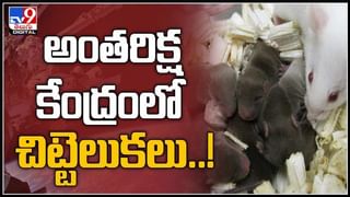 Know Adhar Number: ఆధార్ నెంబ‌ర్‌ను మ‌రిచిపోయారా..? ఇంట‌ర్‌నెట్‌, ఫోన్ నెంబ‌ర్ ఉంటే చాలు ఇట్టే తెలుసుకోవ‌చ్చు..