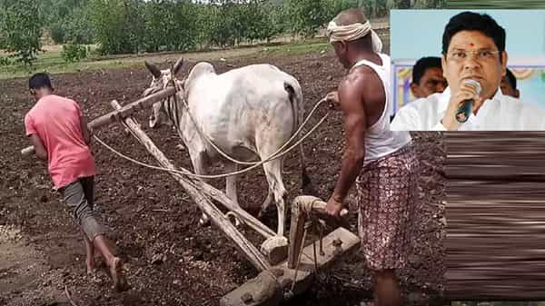 Tv9 Effect: కాడెద్దుగా మారిన కొడుకు కథనానికి స్పందన.. ఆదివాసీ రైతుకు ఎద్దును ఇచ్చేందుకు ముందుకు వచ్చిన ఎంపీ..