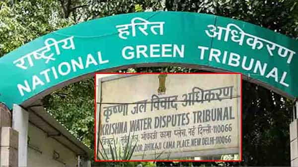 NGT Serious On AP: ఏపీ ప్రభుత్వ తీరుపై ఎన్జీటీ తీవ్ర స్థాయిలో ఆగ్రహం.. ఆదేశాలను ధిక్కరిస్తే జైలుకు పంపిస్తామని సీఎస్కు వార్నింగ్