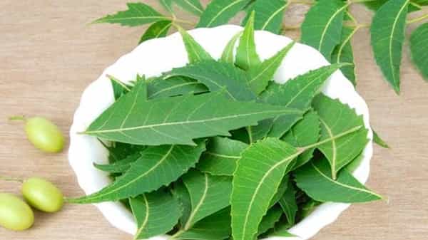 Neem Leaves: కిడ్నీలో రాళ్లను కరిగించే వేప ఆకుల రసం.. డయాబెటిక్ రోగులు వేప ఆకులను తింటే ఎన్ని లాభాలున్నాయంటే..