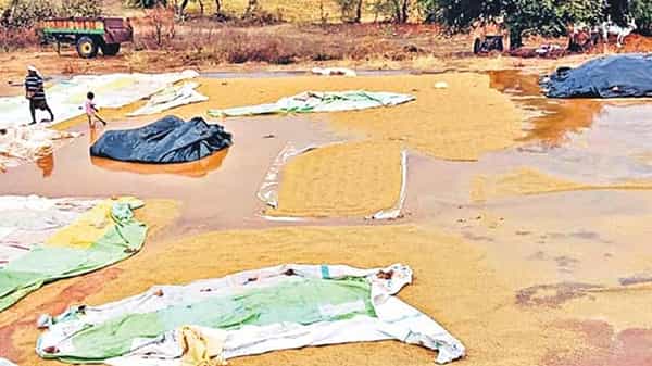 నిర్మల్ జిల్లాలో అకాల వర్షాలు.. కల్లాల్లోనే తడిసి ముద్దైన ధాన్యం.. రైతన్నల కష్టాలు..