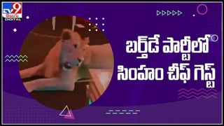 చిన్నారి నవ్వుకోసం కుక్క పిల్ల కుప్పి గంతులు..ట్రెండ్ అవుతున్న ఫన్నీ వీడియో :dog make fun viral video.